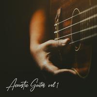 Acoustic Guitar, Vol. 1