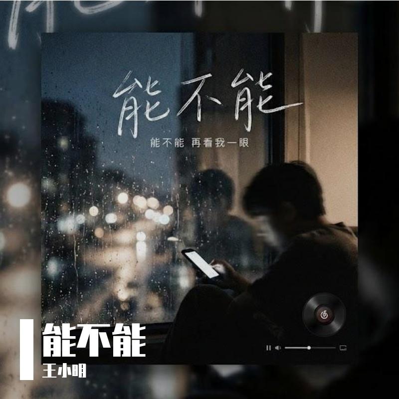 雨停了但你没回来封面