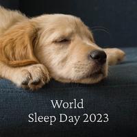 Wolrd Sleep Day 2023