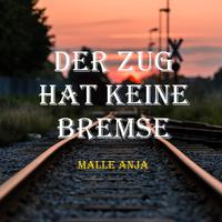 Der Zug hat keine Bremse (Radio Edit)