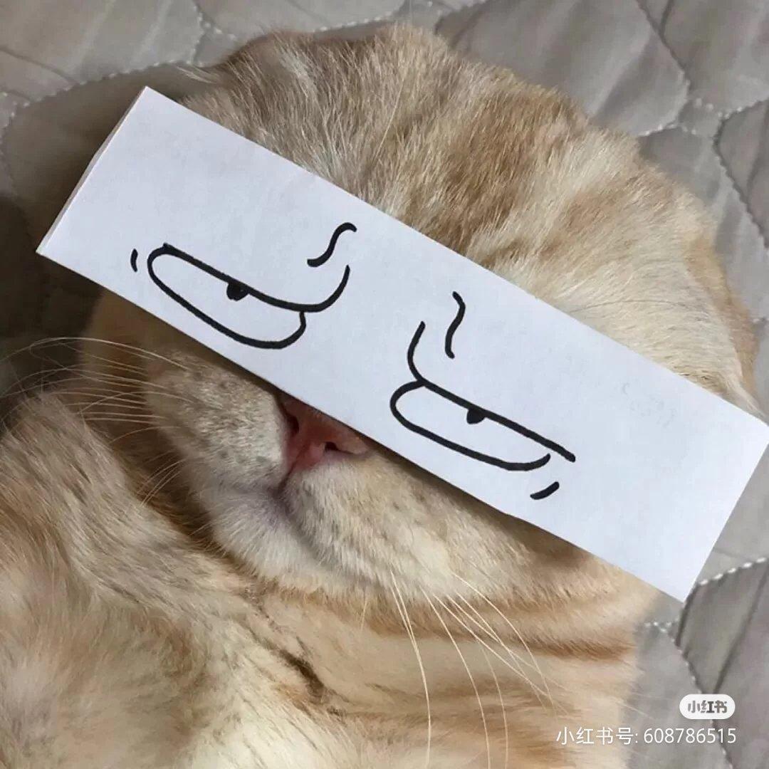 违规昵称王祖贤