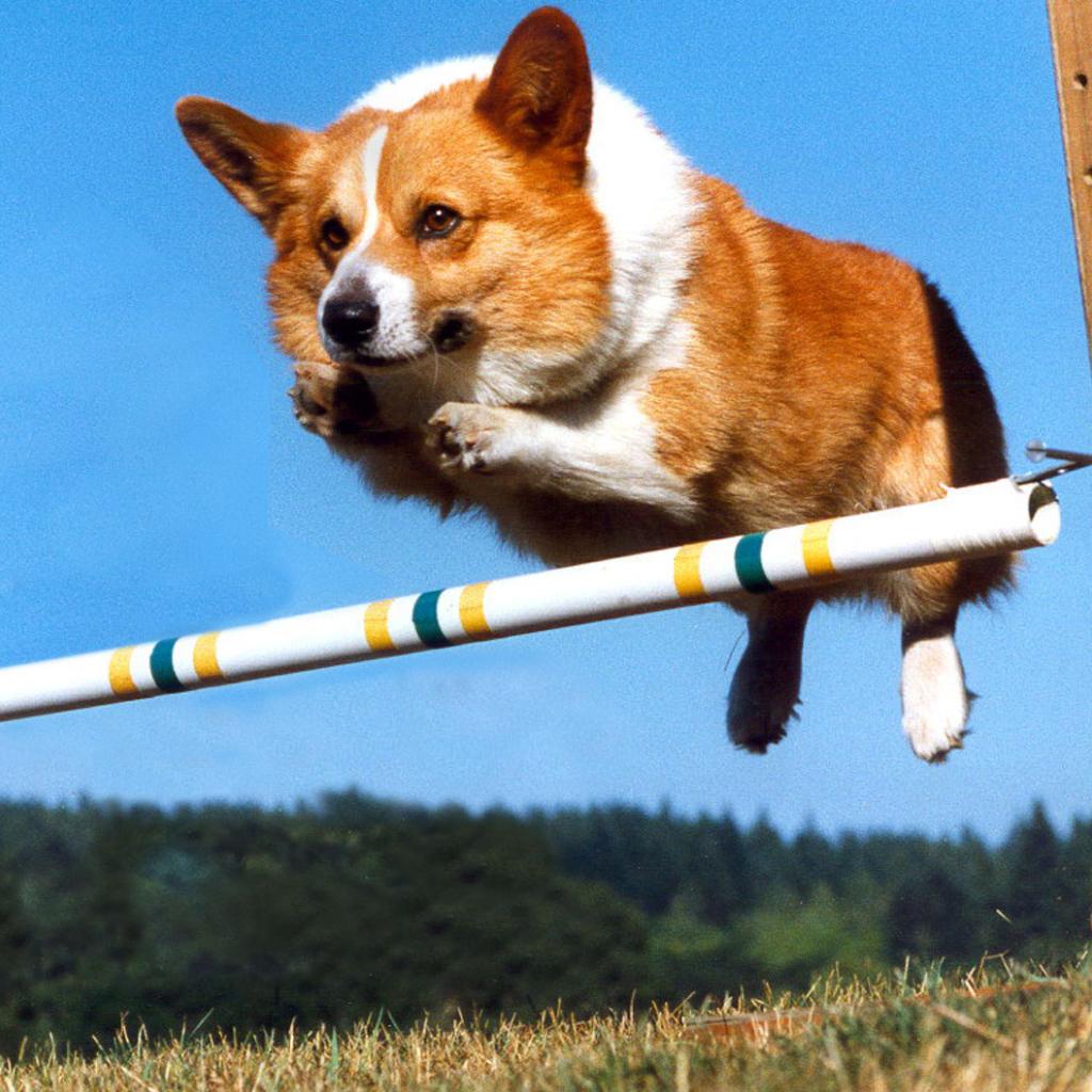 很适合工作的音乐，激情四射