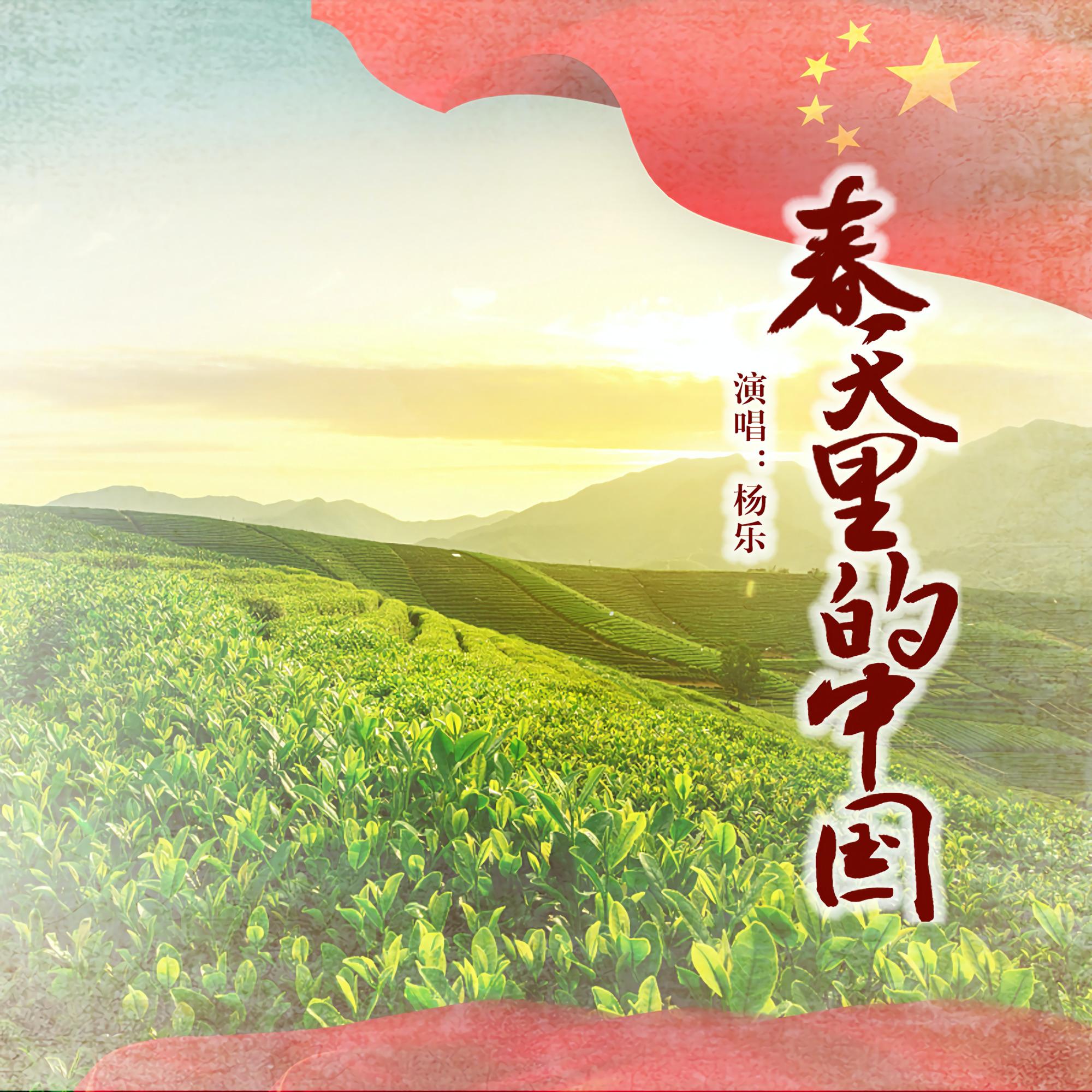 春天里的中国 (伴奏)封面