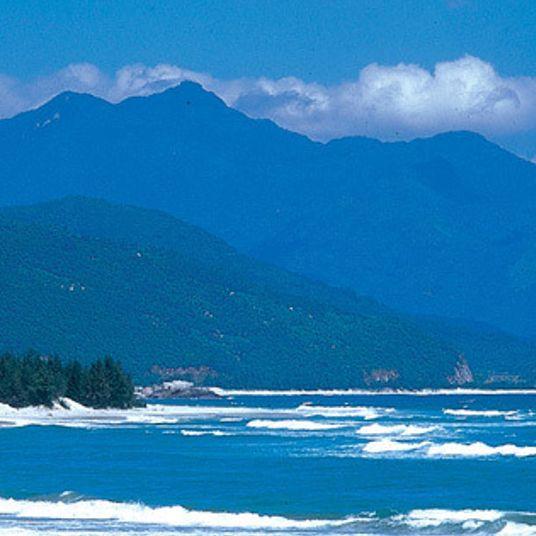 海浪冥想封面