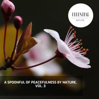 A Spoonful of Peacefulness By Nature, Vol. 3