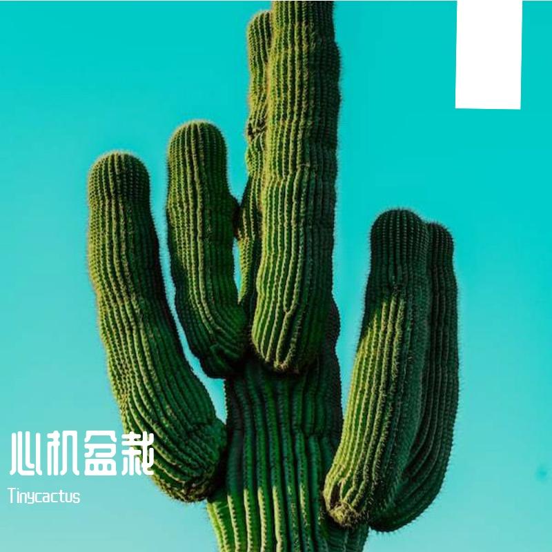心机盆栽封面