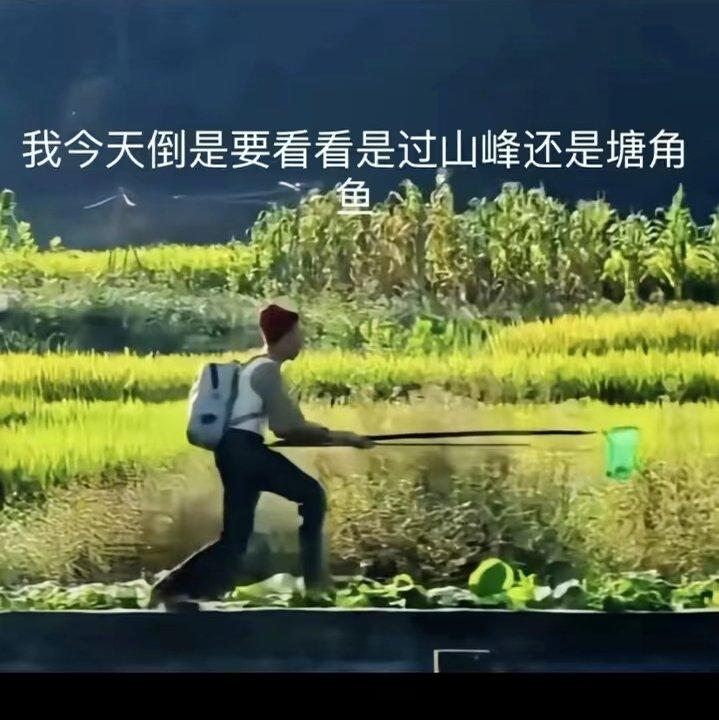 过山风还是塘角鱼封面