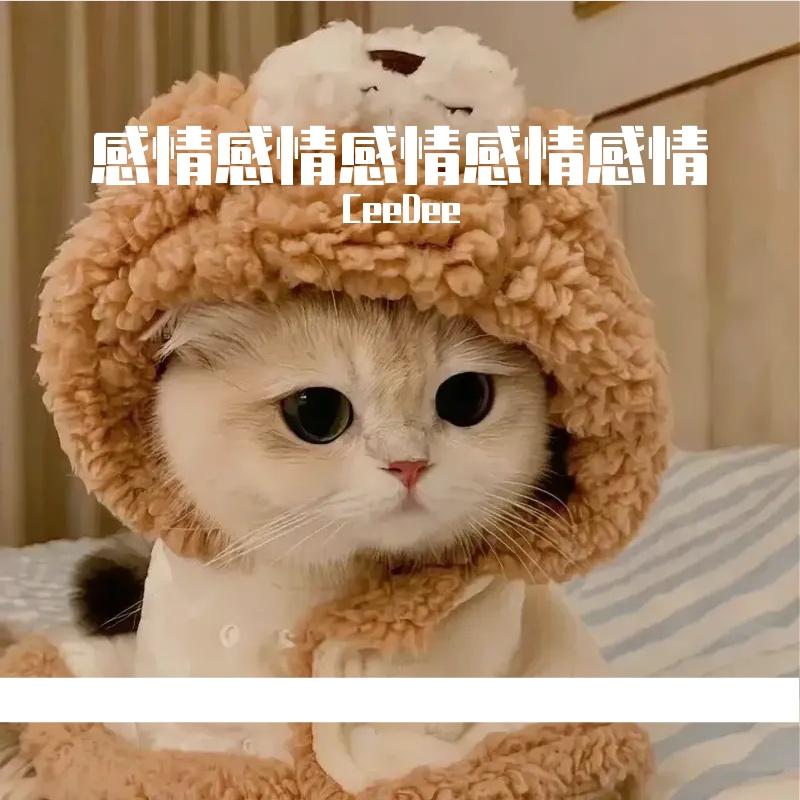 水银封面