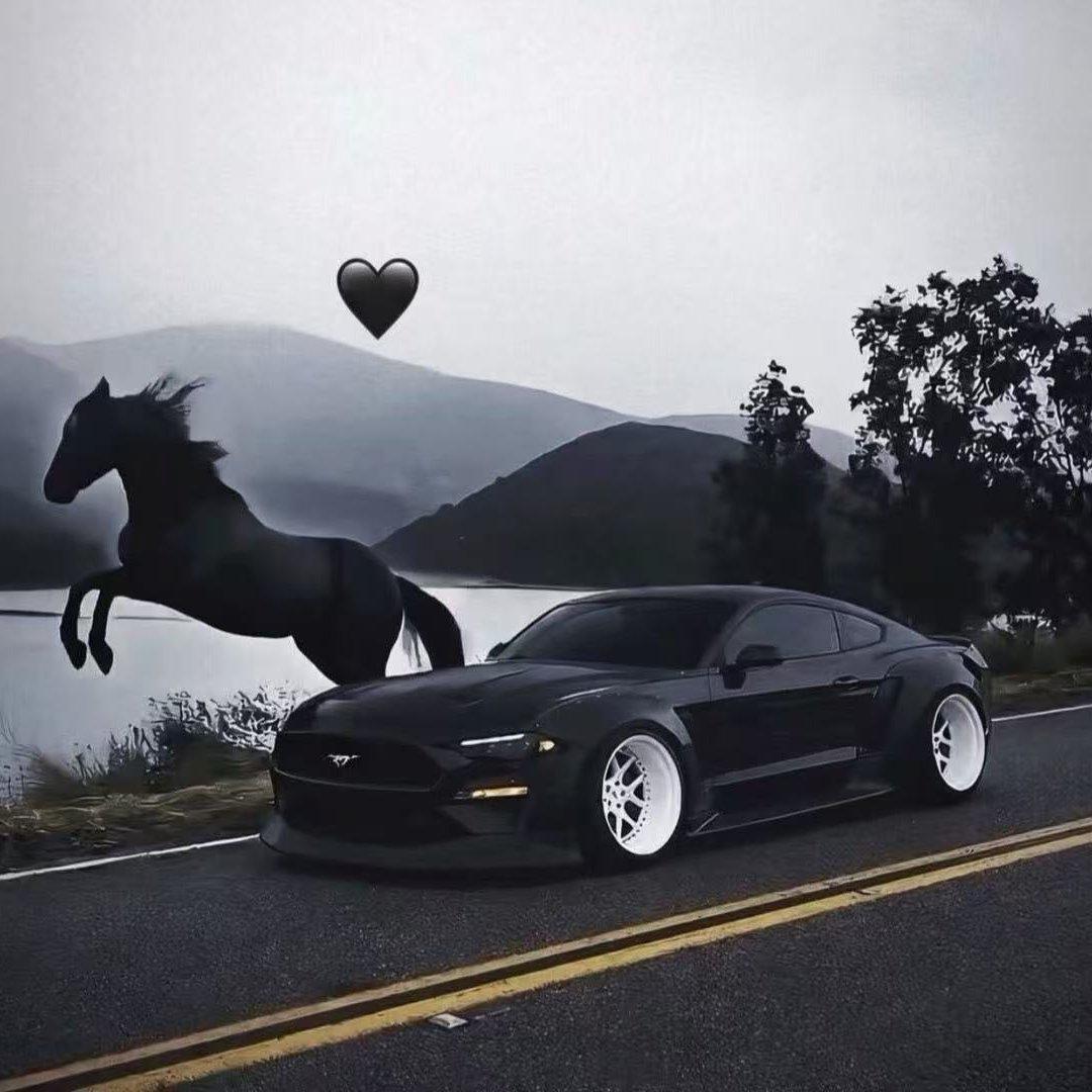 2026车载DJ嗨曲热榜（持续更新）