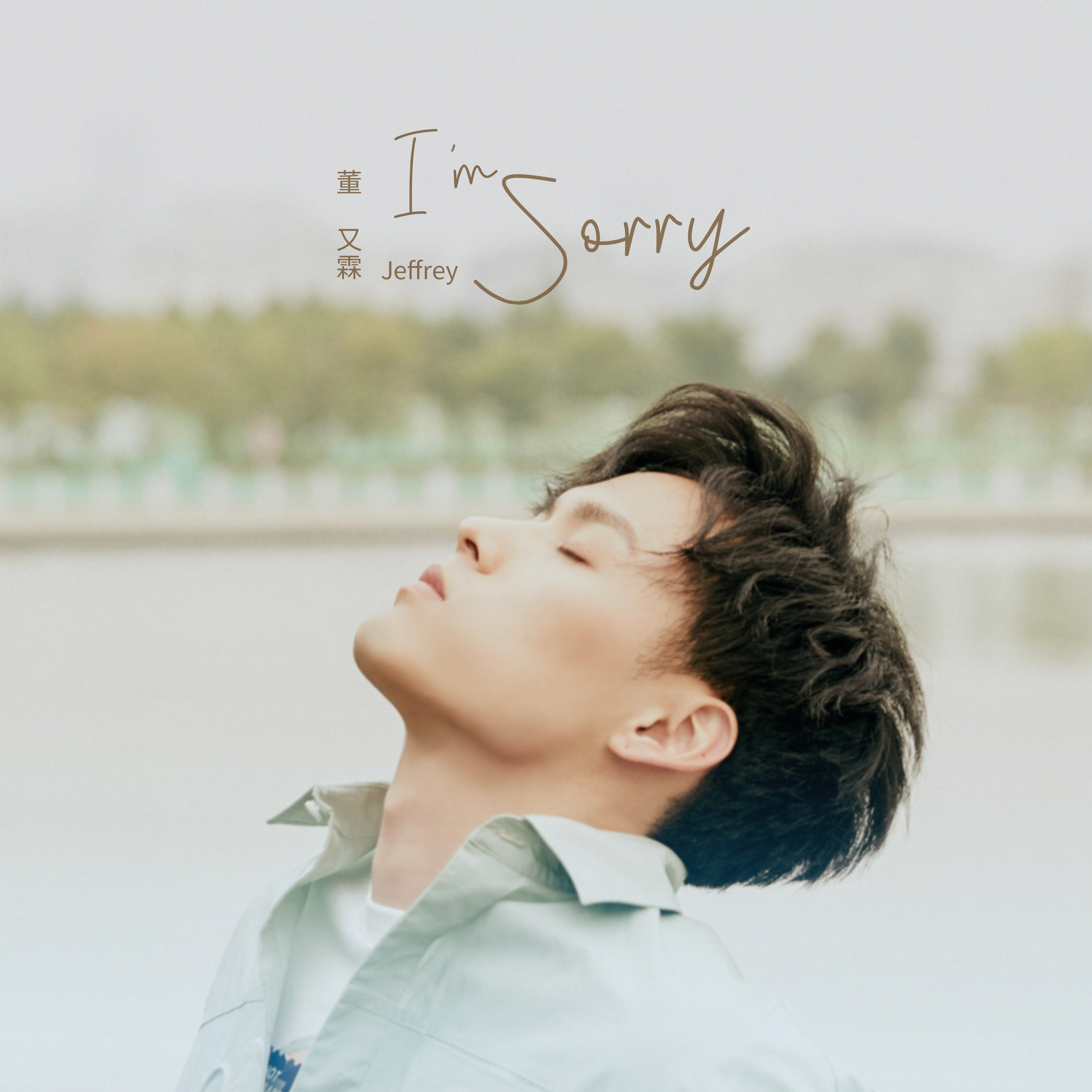 I'm Sorry封面