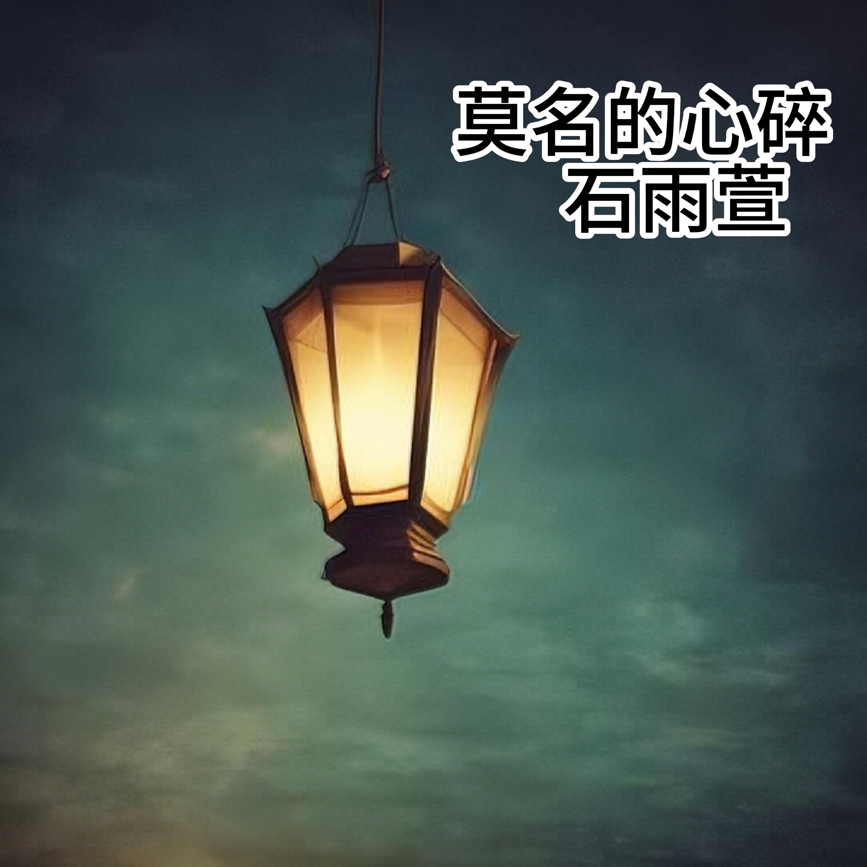 人生的单程票封面