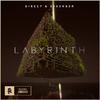 Direct - Labyrinth