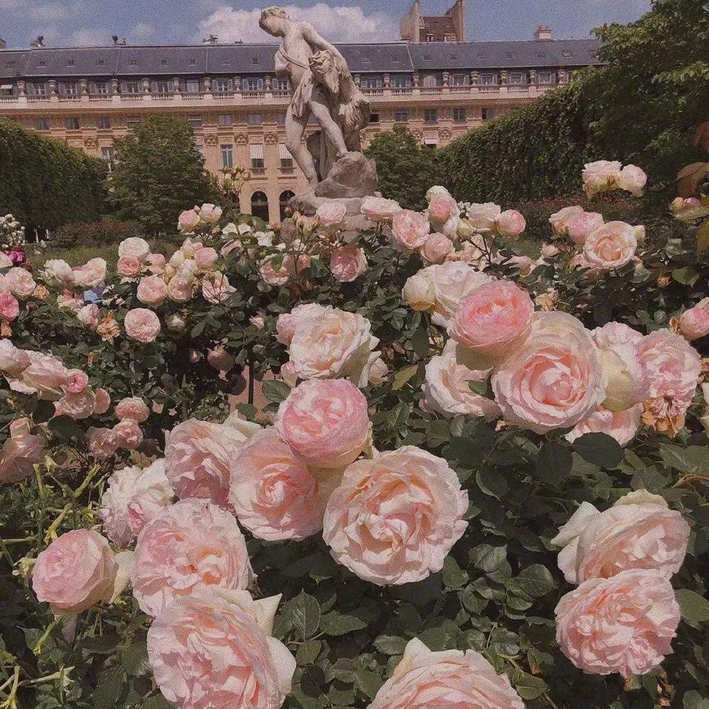 cover/超温柔翻唱合集！！！