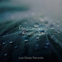 Meditation Ambient