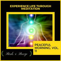 Experience Life Through Meditation - Peaceful Morning, Vol. 11