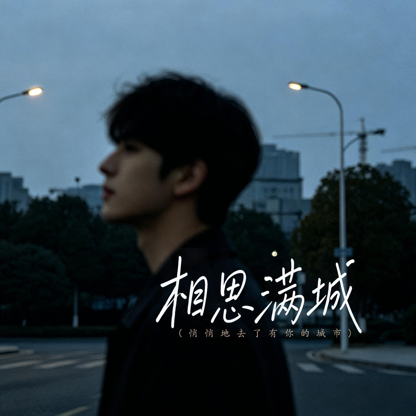 相思满城 (悄悄地去了有你的城市)封面
