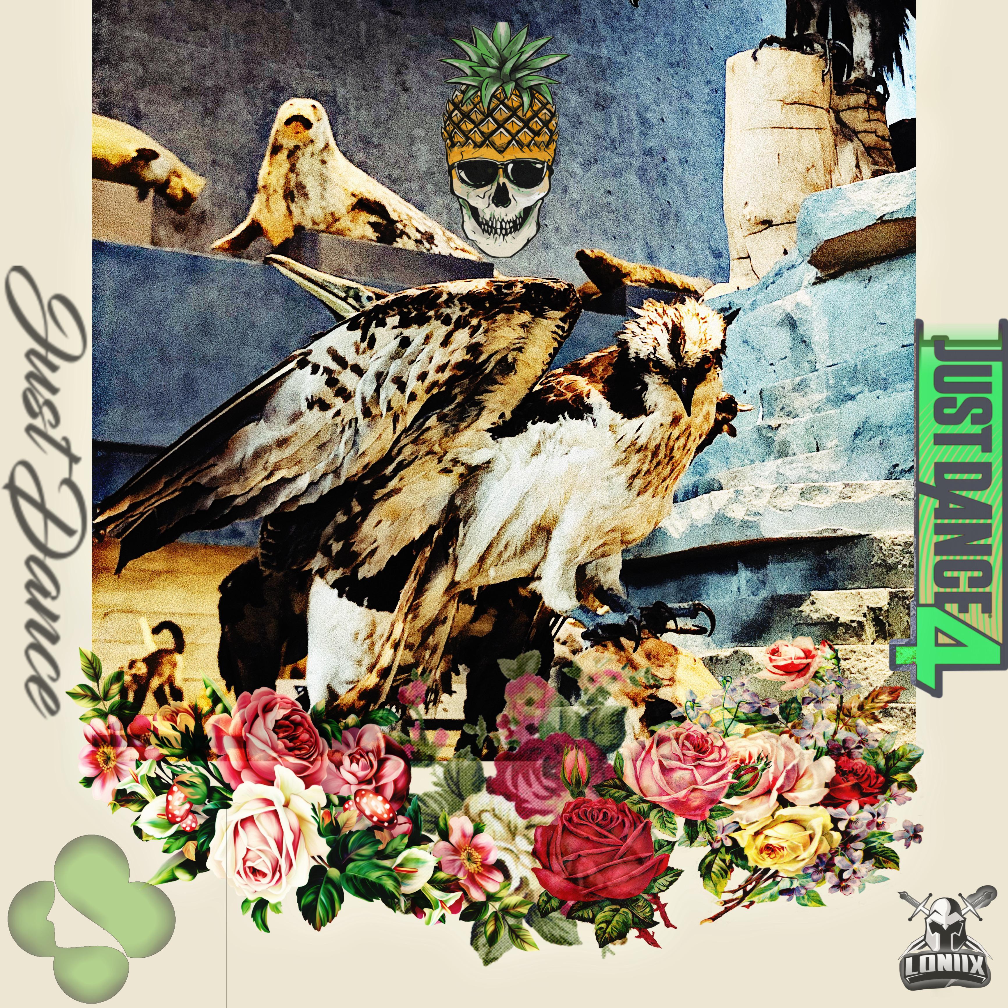 Lady Gaga-Just Dance(DJ Mr.ResCo Mashup)(DJ Bmaster Remix)