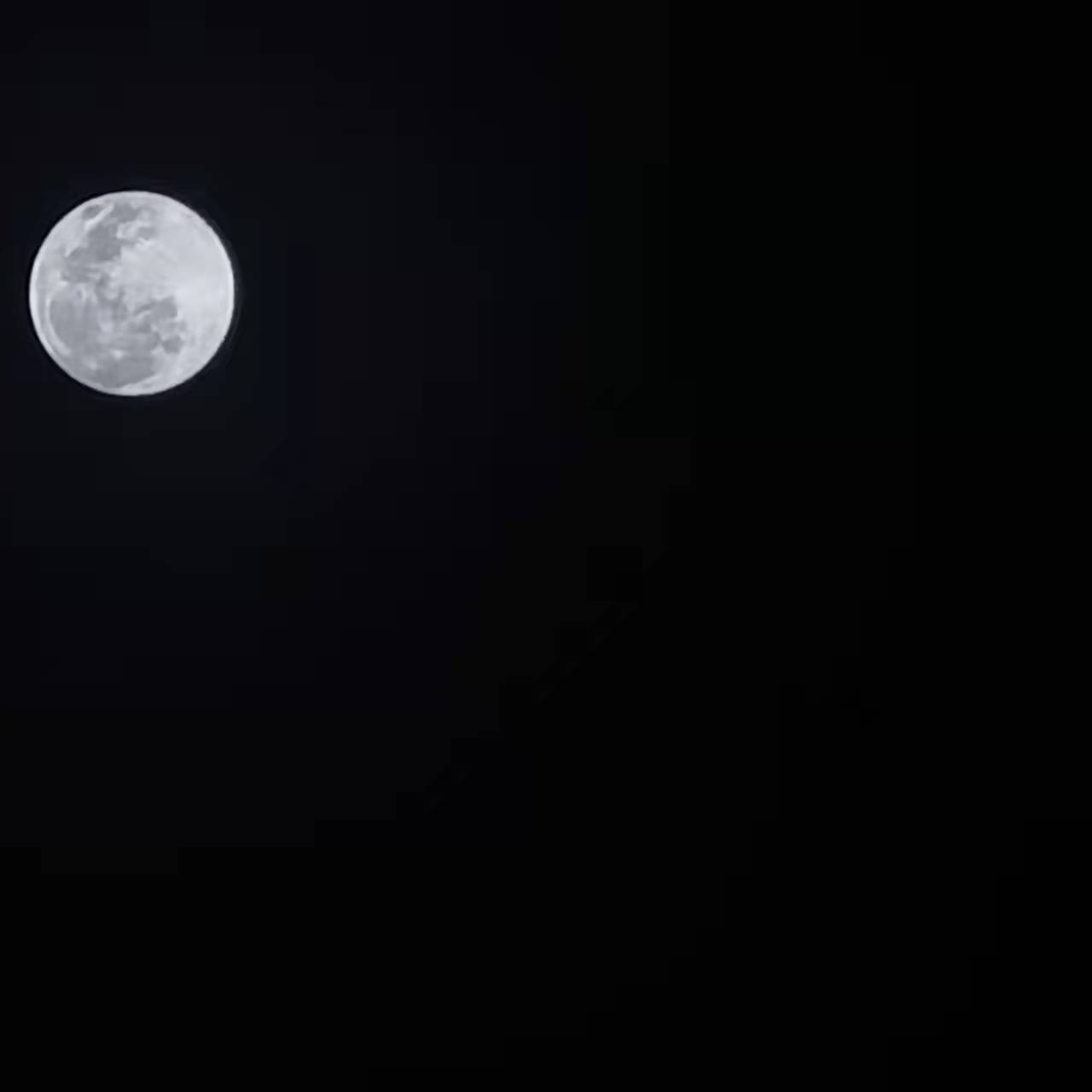 那晚经过你家门口但是并没看见你于是我偷偷摘下了你家门口种的花希望在花中闻到你的味道封面