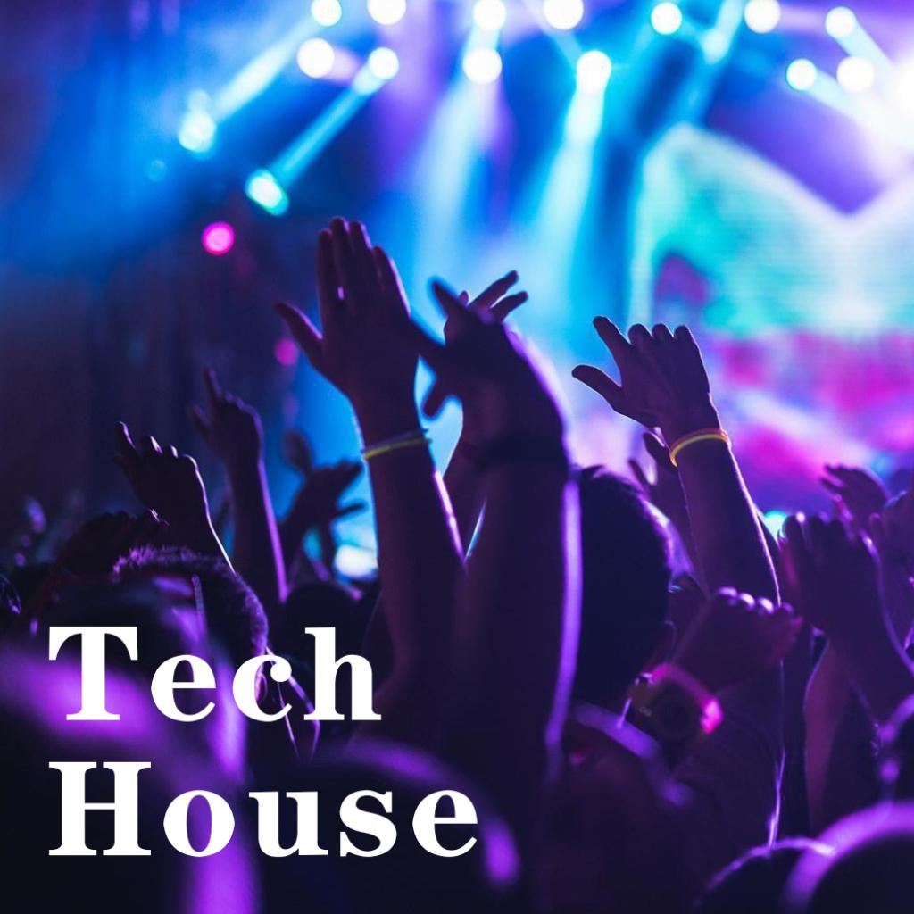 Tech house 科技浩室 持续更新