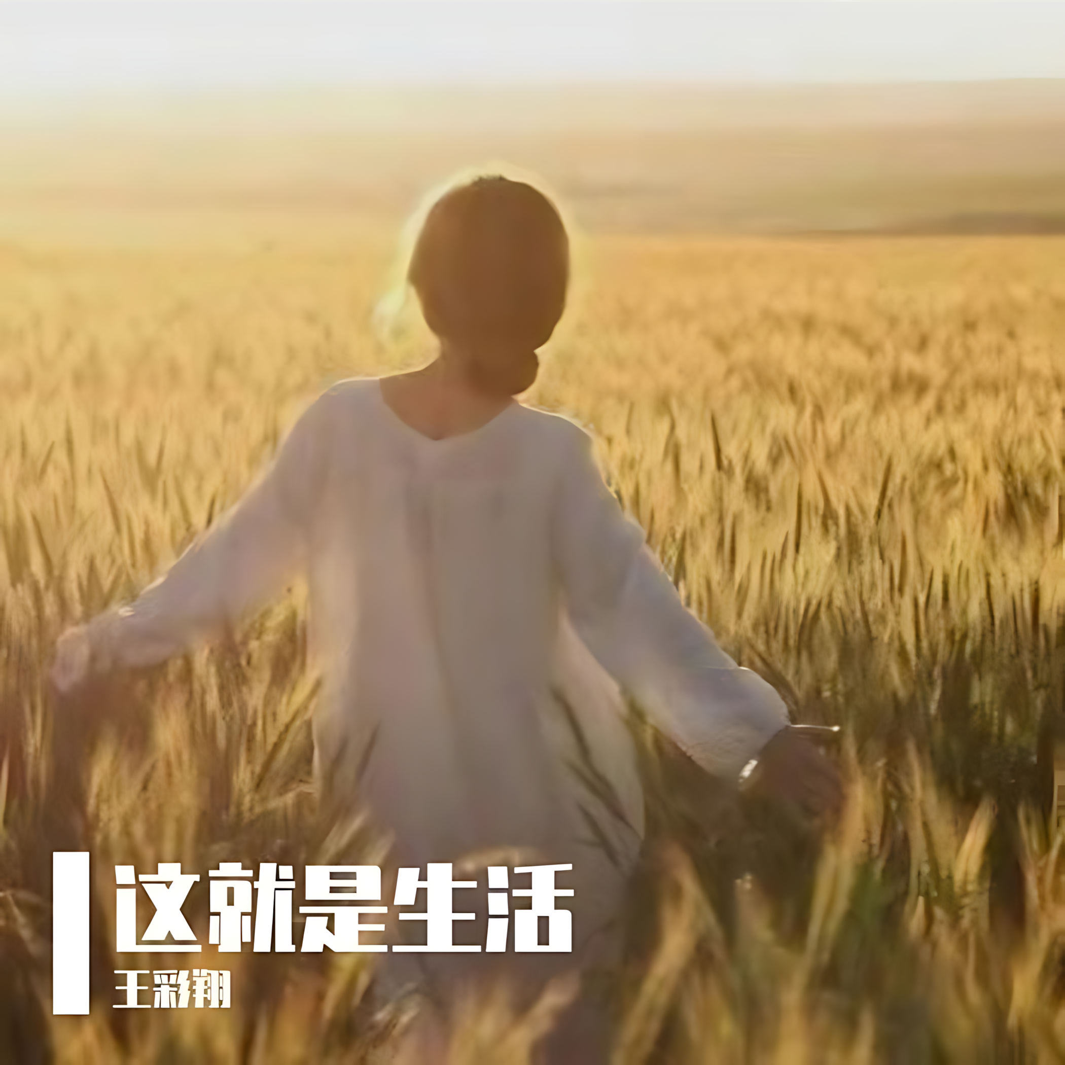 这就是生活 伴奏封面