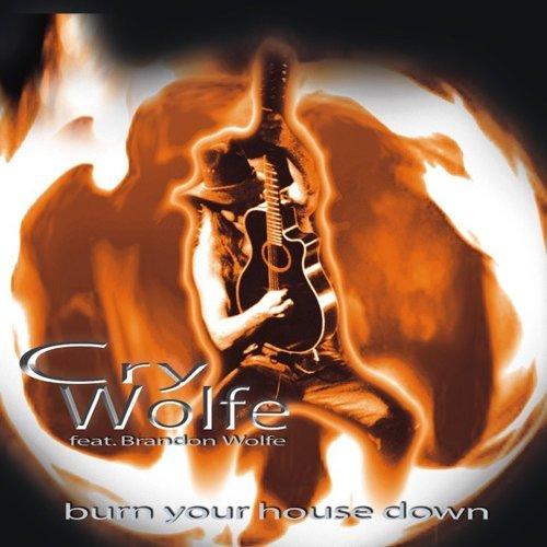 Burn Your House Down