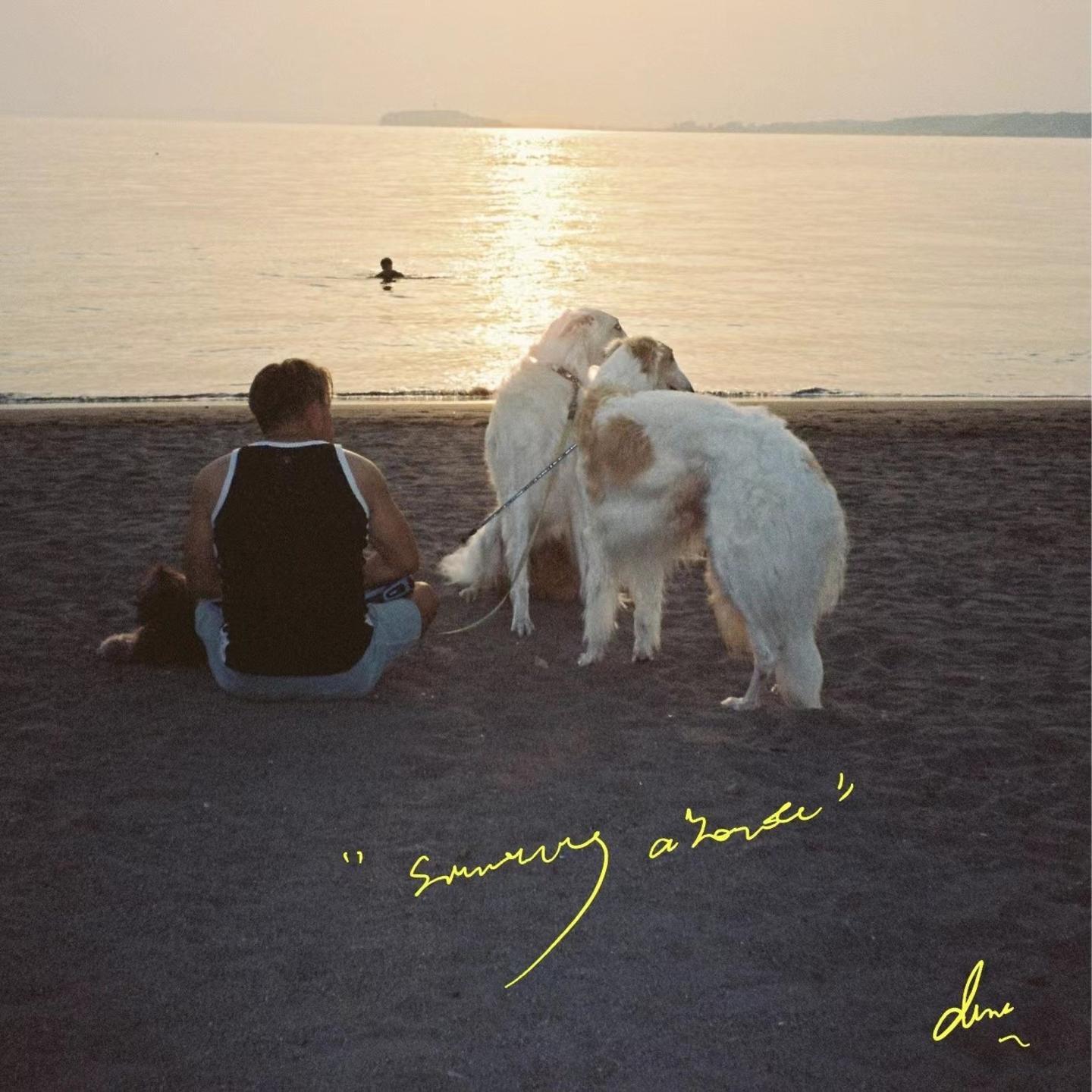 song-img