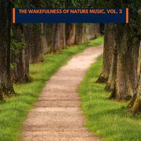 The Wakefulness of Nature Music, Vol. 2