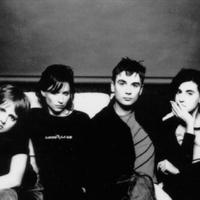 Elastica