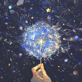 治愈失眠：飘远的蒲公英