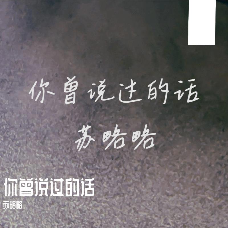 你曾说过的话 伴奏封面