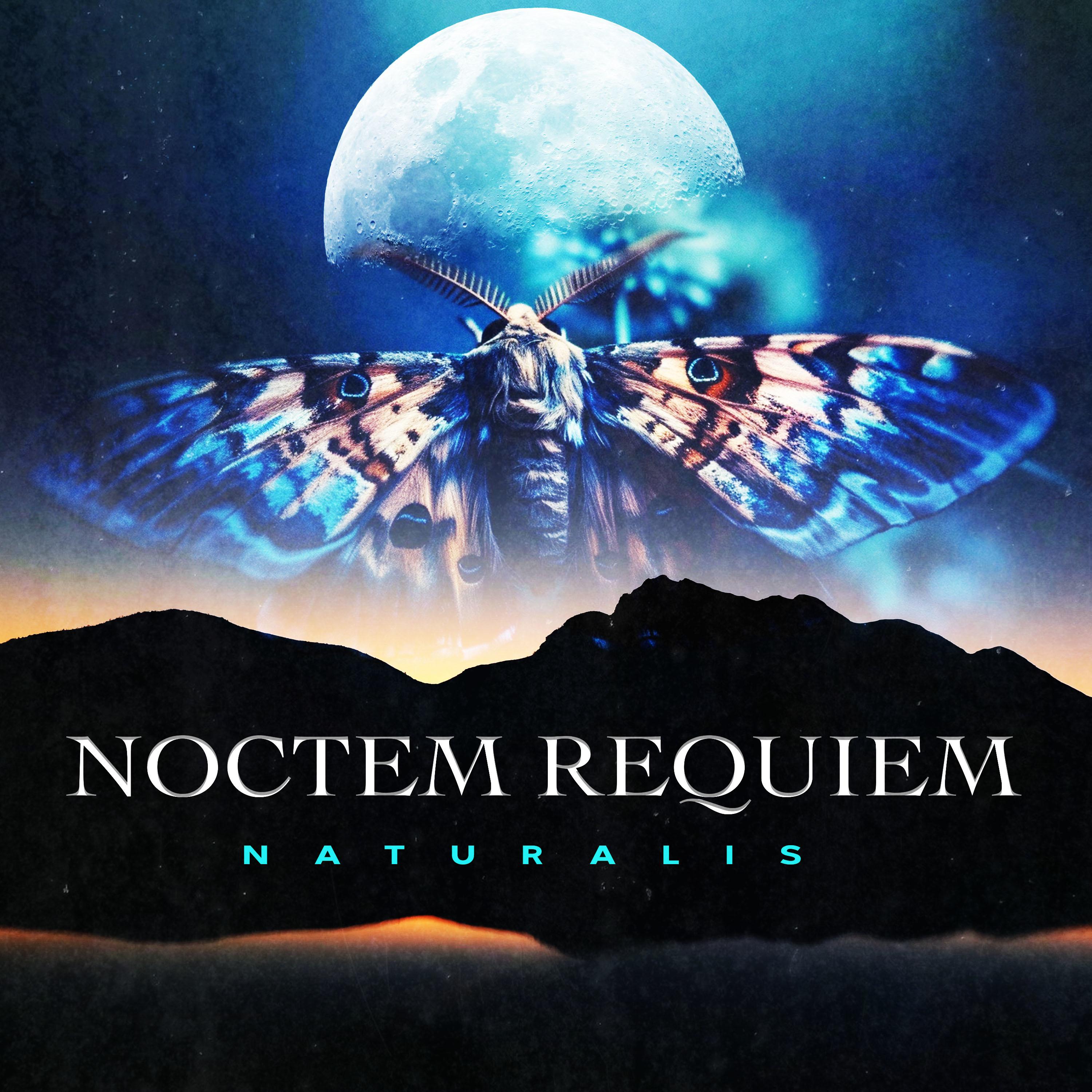 noctem-requiem-naturalis