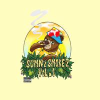 Sumn 2 Smoke 2 Vol.1