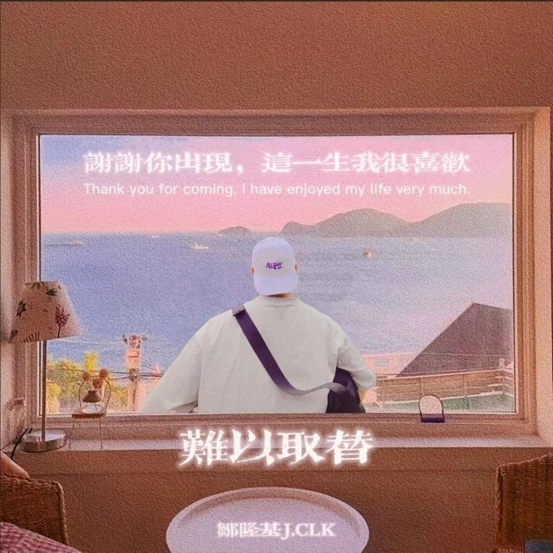 难以取替封面