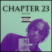 Chapter 23