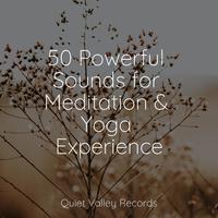 50 Powerful Sounds for Meditation & Yoga Experience