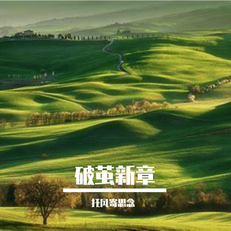 少年自带锋芒封面