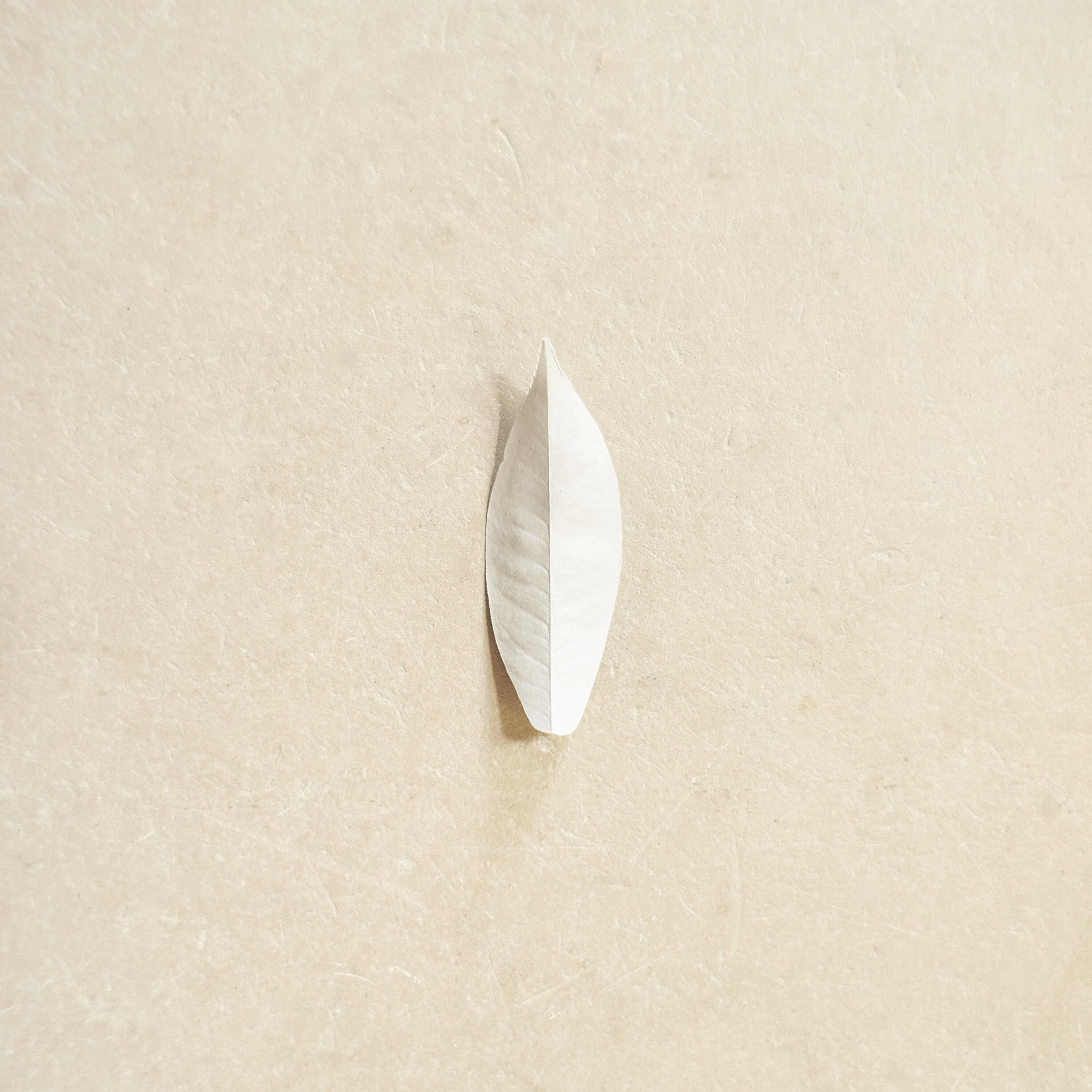 Le Zen Dans L'Art Du Tir À L'Arc