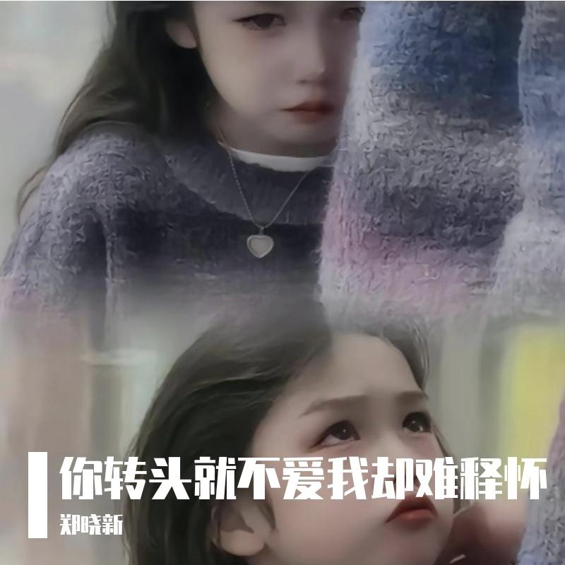 乌云与晴空 - 郑晓新封面