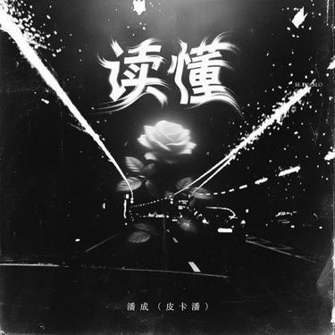 读懂 (降调版)封面