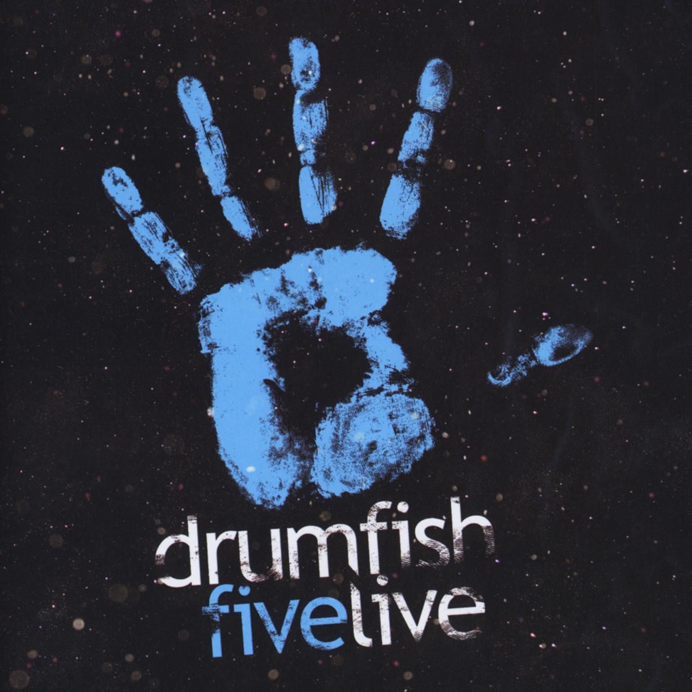 I Am (Live) - drumfish封面