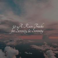 50 A Rain Tracks for Serenity & Serenity