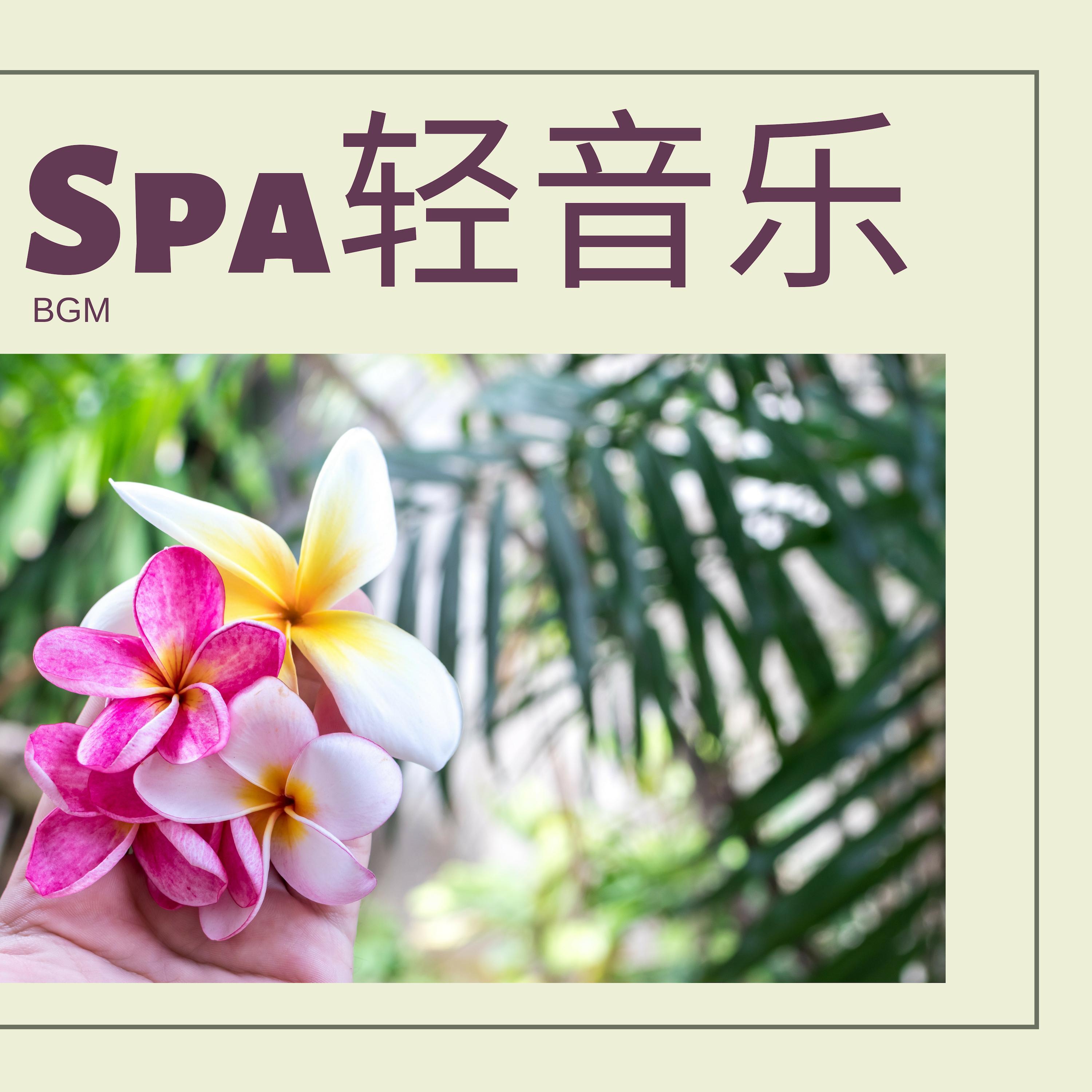 安宁封面