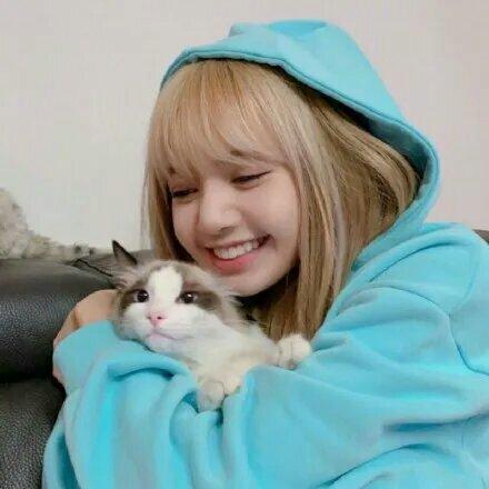 BLACKPINK的歌.Lisa rose jennie jisoo