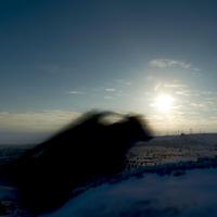 七十四资料,七十四最新歌曲,七十四MV视频,七十四音乐专辑,七十四好听的歌