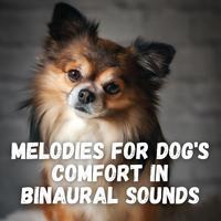 Melodies for Dog's Comfort in Binaural Sounds