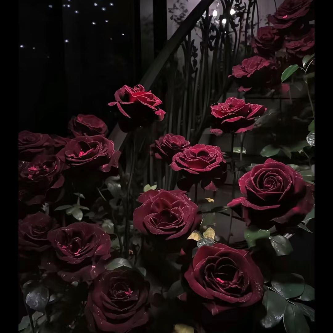 适合CH刀子的音乐