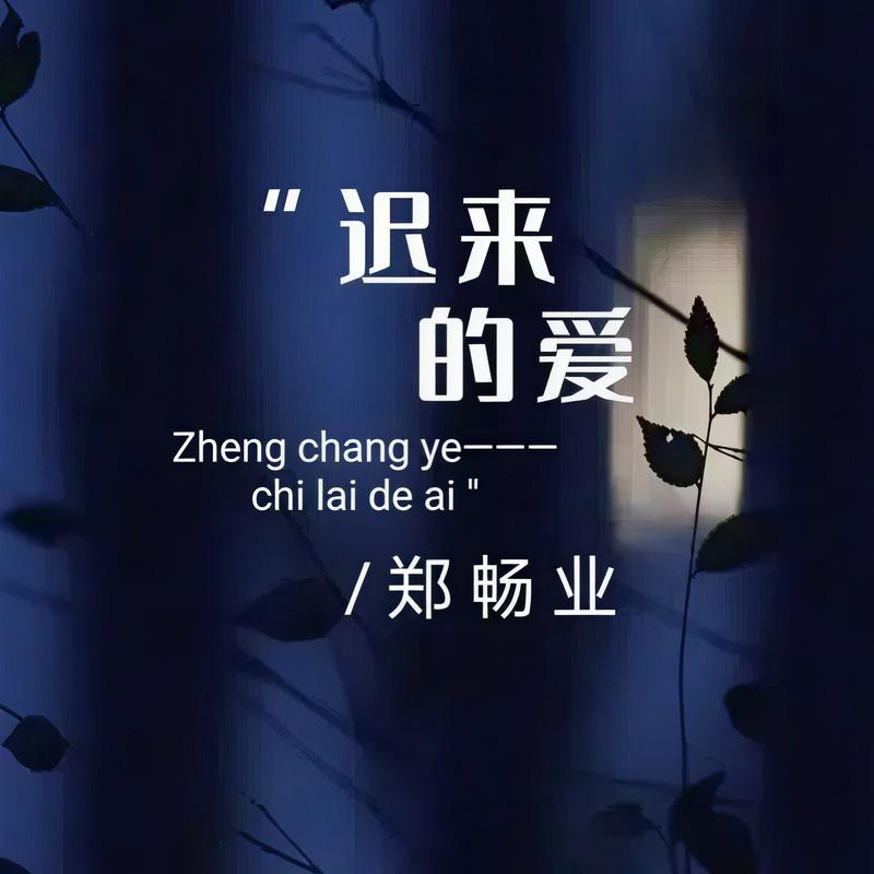 迟来的爱 (伴奏)封面