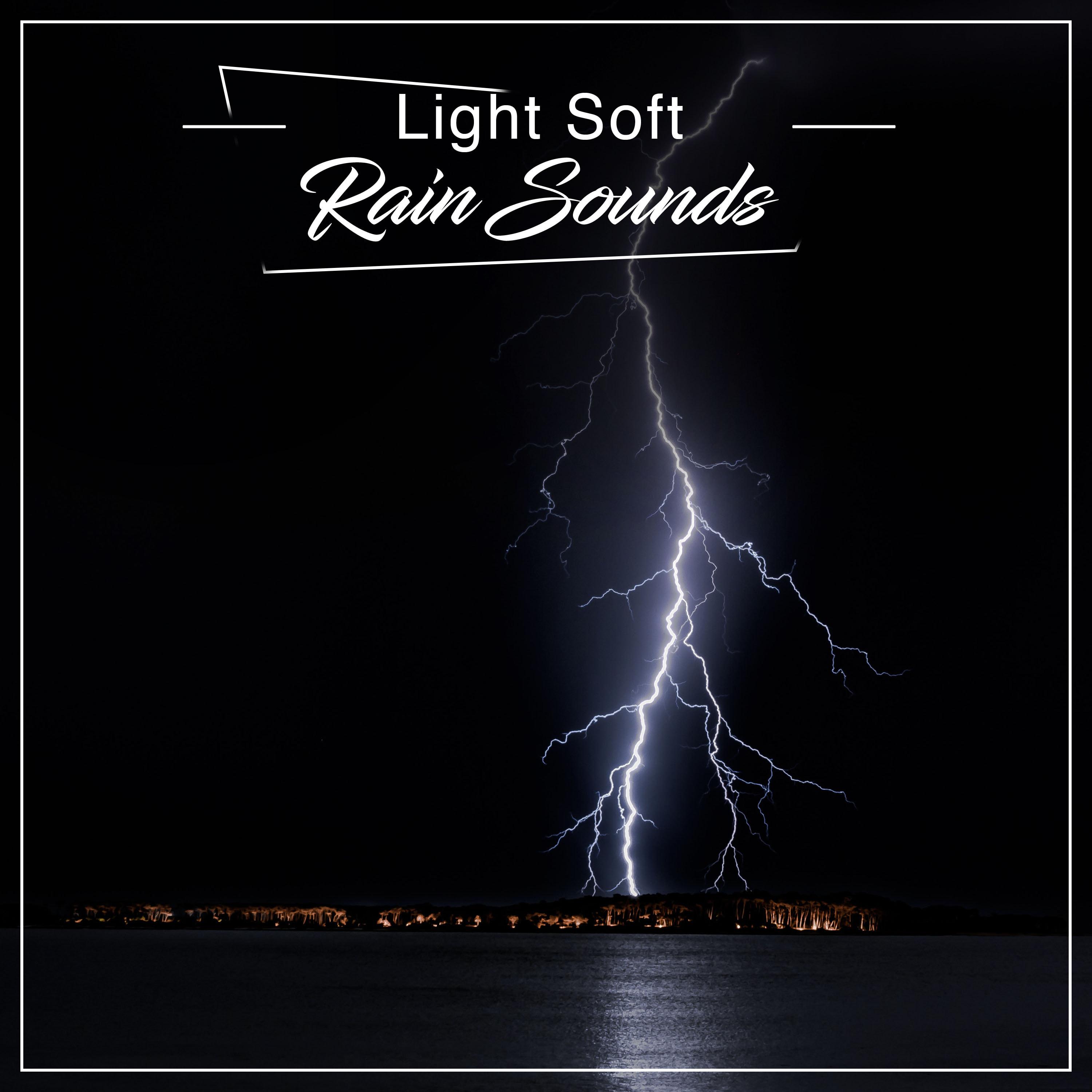 the rainforest collective 所属专辑:#2018 light soft rain