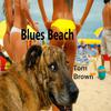 Tom Brown - Windy Bay Blues