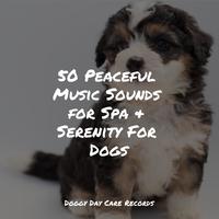 50 Peaceful Music Sounds for Spa & Serenity For Dogs